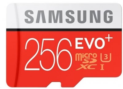 minneskort - 256 GB micro SD-kort