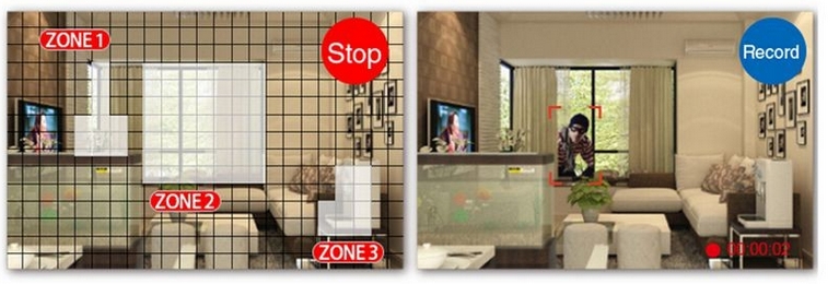 zonlarm DVR