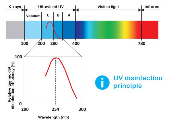 ultravioletta ljus