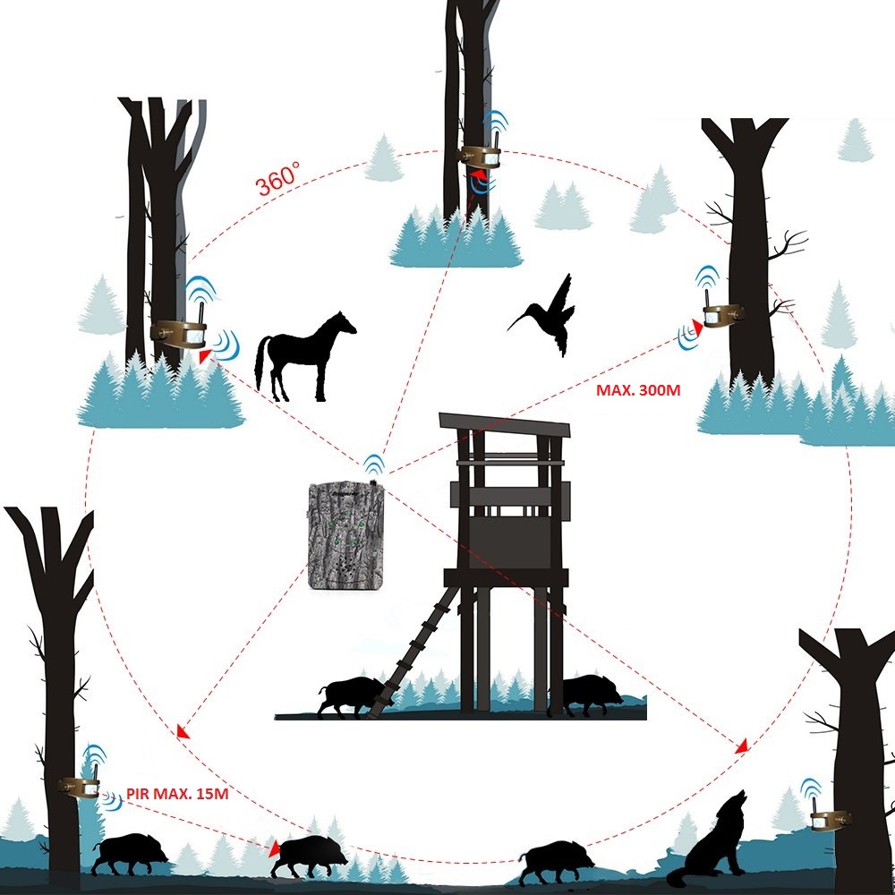 jaktlarmsystem Bestguarder i skogen