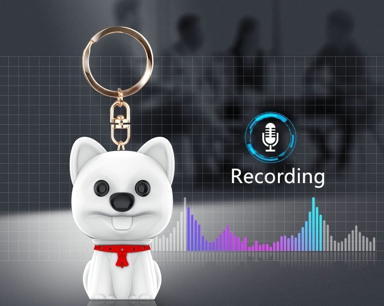 röstinspelare i en nyckelringhund